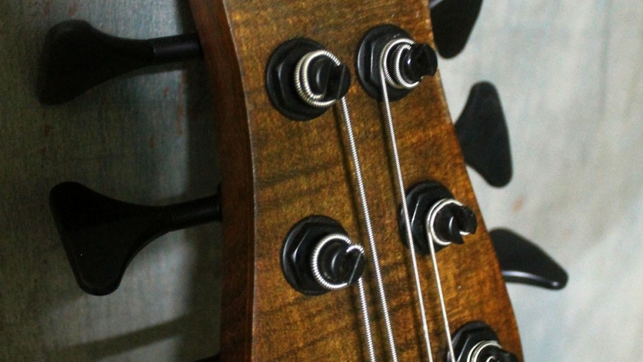 Весельев Виталий - Бас-гитара Daft Craft custom bass 6 string fretless